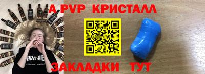 гашик Кингисепп
