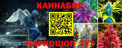 PSILOCYBIN Кандалакша