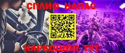 гашик Кингисепп
