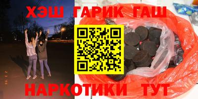 гашик Кингисепп
