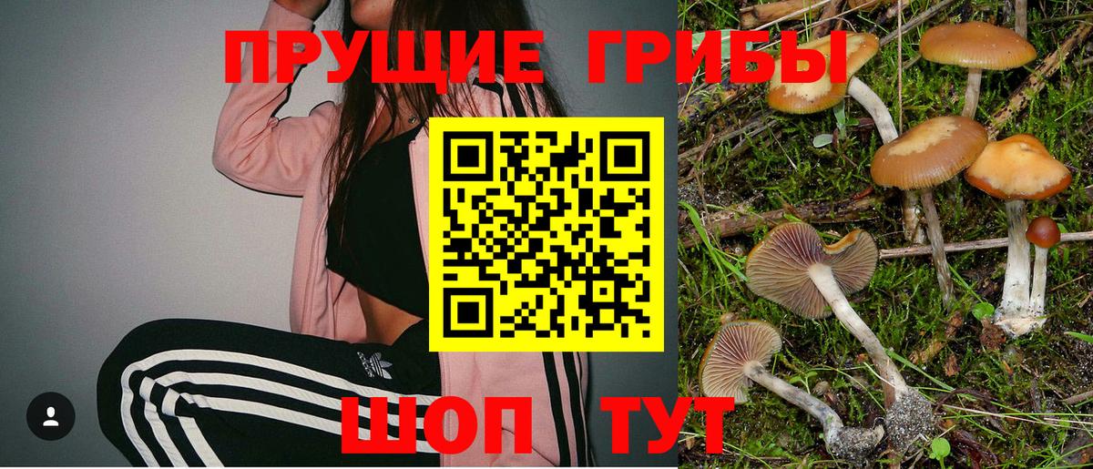 Галлюциногенные грибы Cubensis Чапаевск
