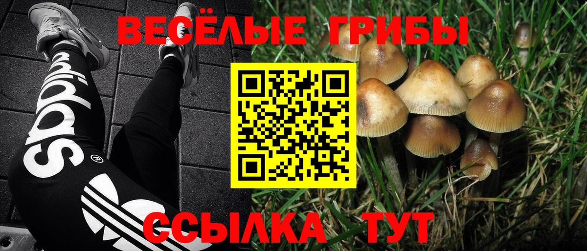 Псилоцибиновые грибы Magic Shrooms  где найти   Чапаевск  Галлюциногенные грибы Magic Shrooms  Вход с VPN 